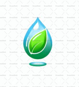 Wassertropfen und Blatt